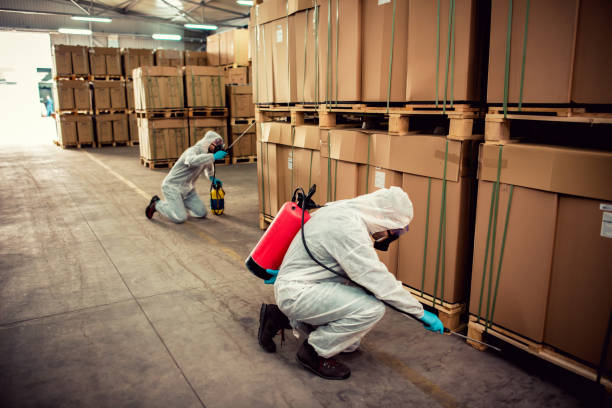 Best Residential Pest Control  in Grundy, VA