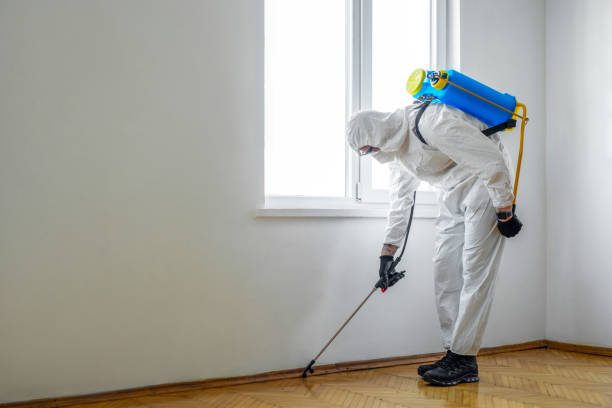 Best Cockroach Control Services  in Grundy, VA